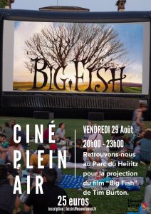 Cinéma Plein Air 18 - 40 ans