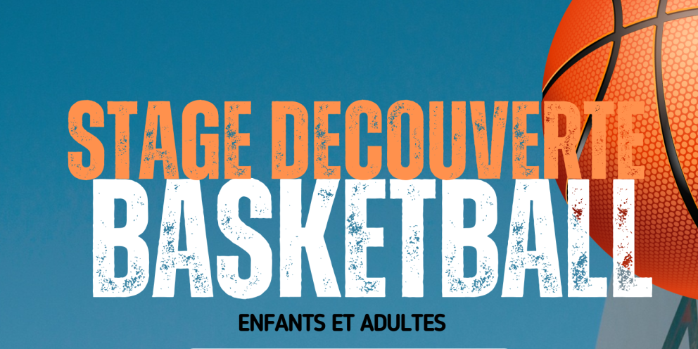 Stage découverte du basket ball